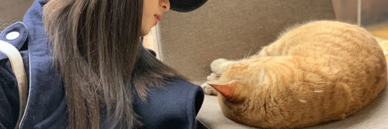 myshigeru's profile banner image