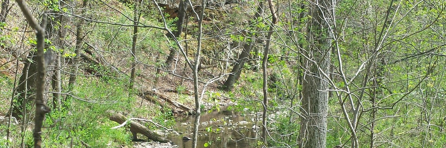BigfootingK's profile banner image