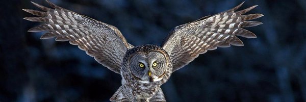 DelayedSleeper Profile Banner