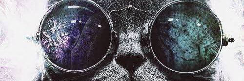 MrsPotatoHead78's profile banner image