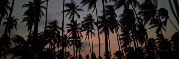 Jennmoolina Profile Banner