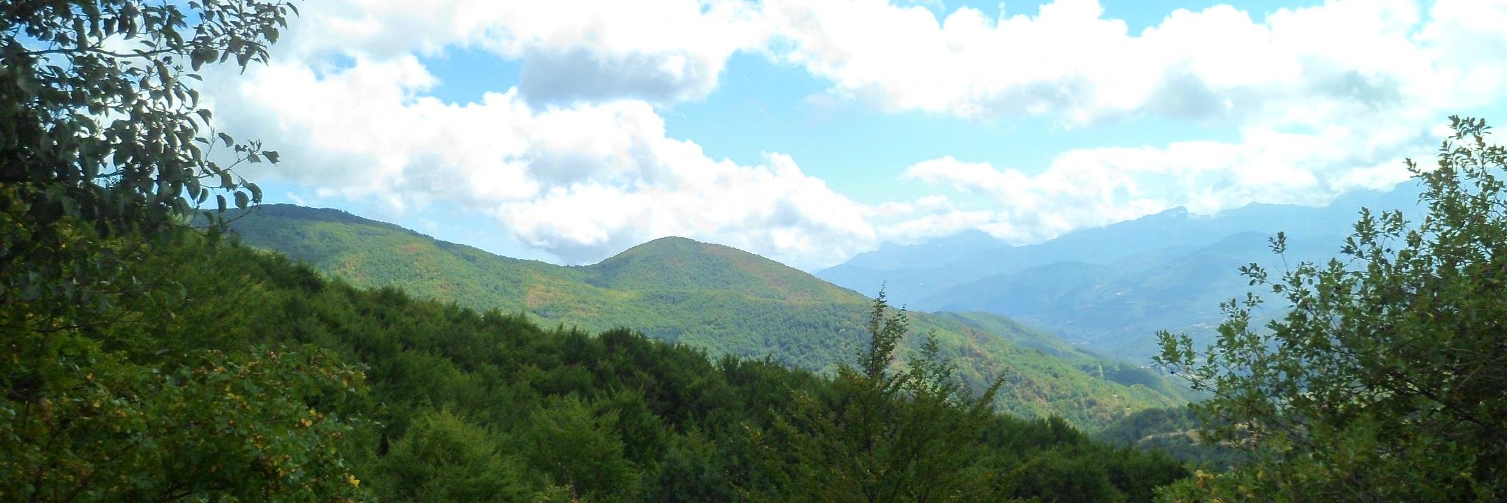 Ian Field 🏁🚵 banner