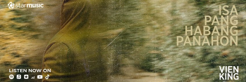 thevienking's profile banner image