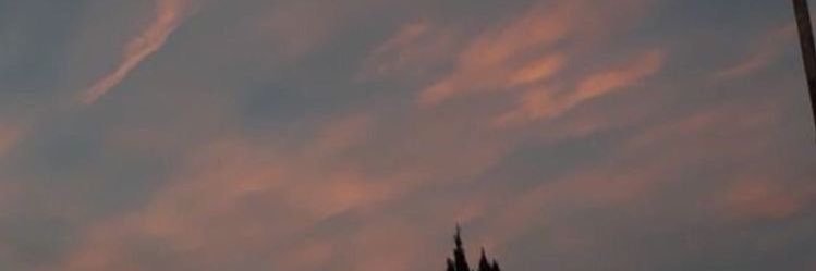 👻 banner