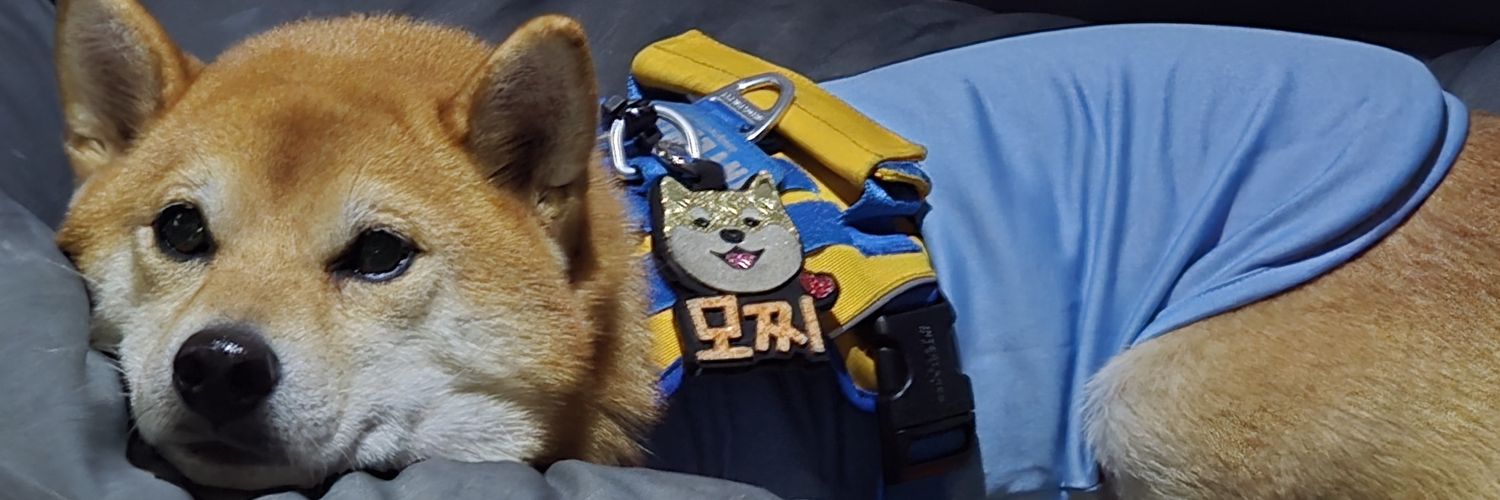 이보리🐾 banner
