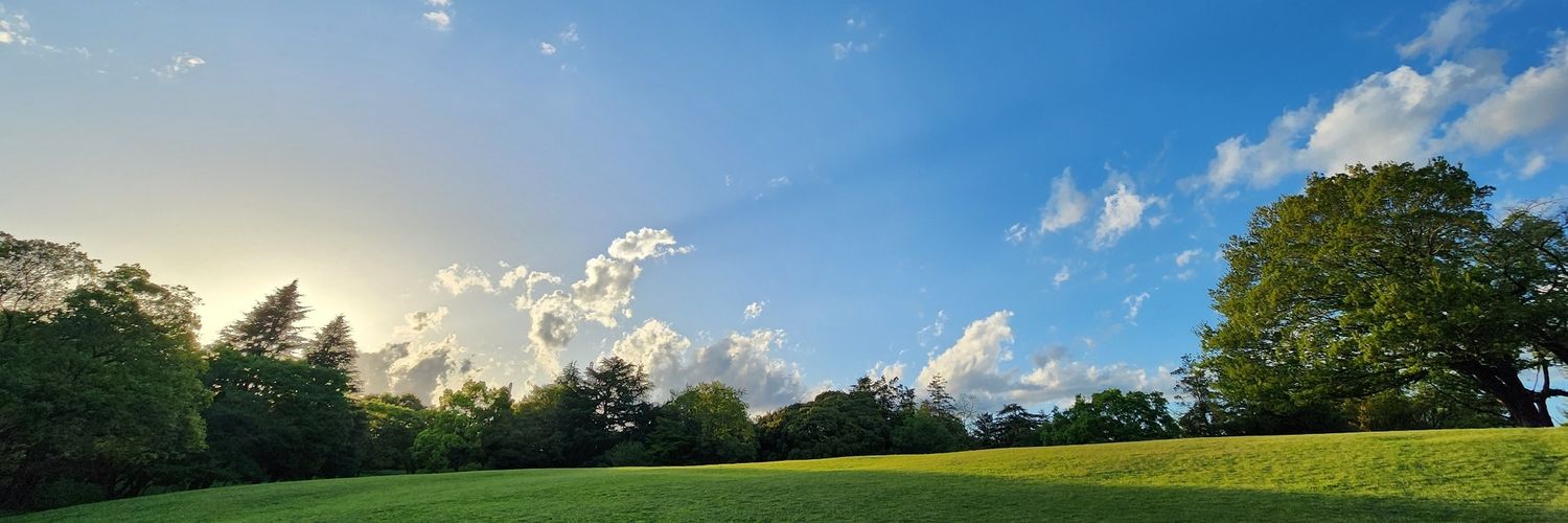 bycomet's profile banner image
