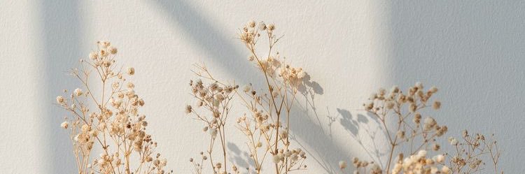 𝚂𝚊𝚗𝚍𝚛𝚊 ⚡️ banner