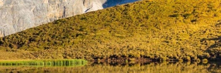 temimsaliti's profile banner image