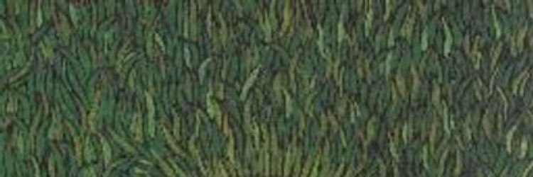 EymenMusluoglu's profile banner image