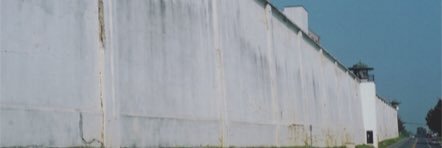 FascistTrump's profile banner image