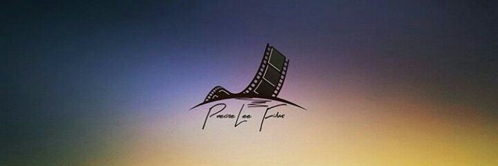 PreciseLee Films banner