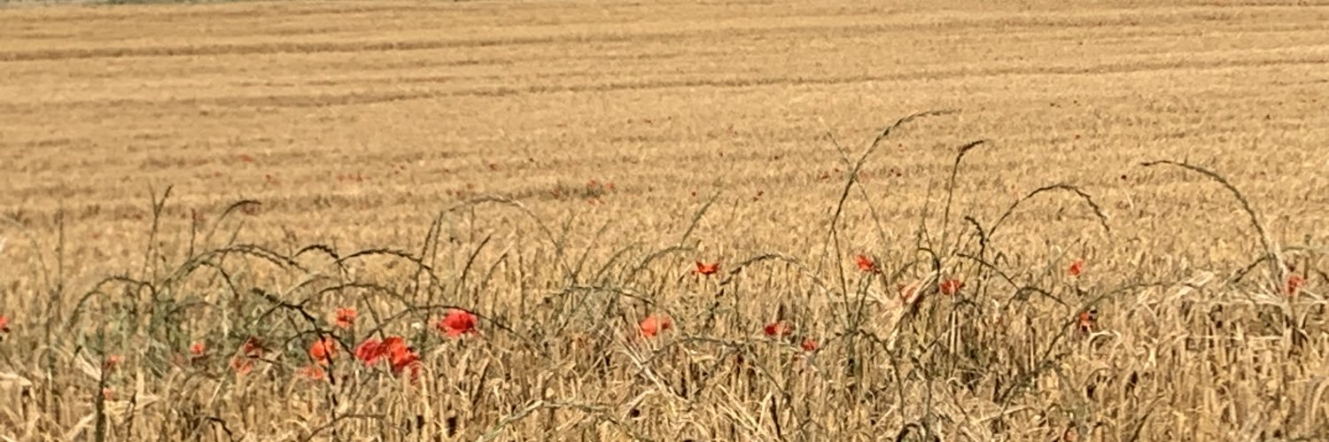 kerforne's profile banner image