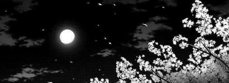 rinakana0702's profile banner image