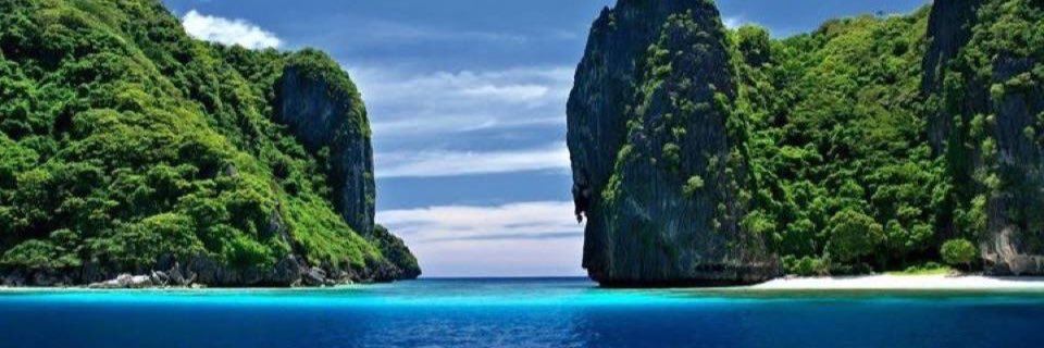 Wenchie318's profile banner image