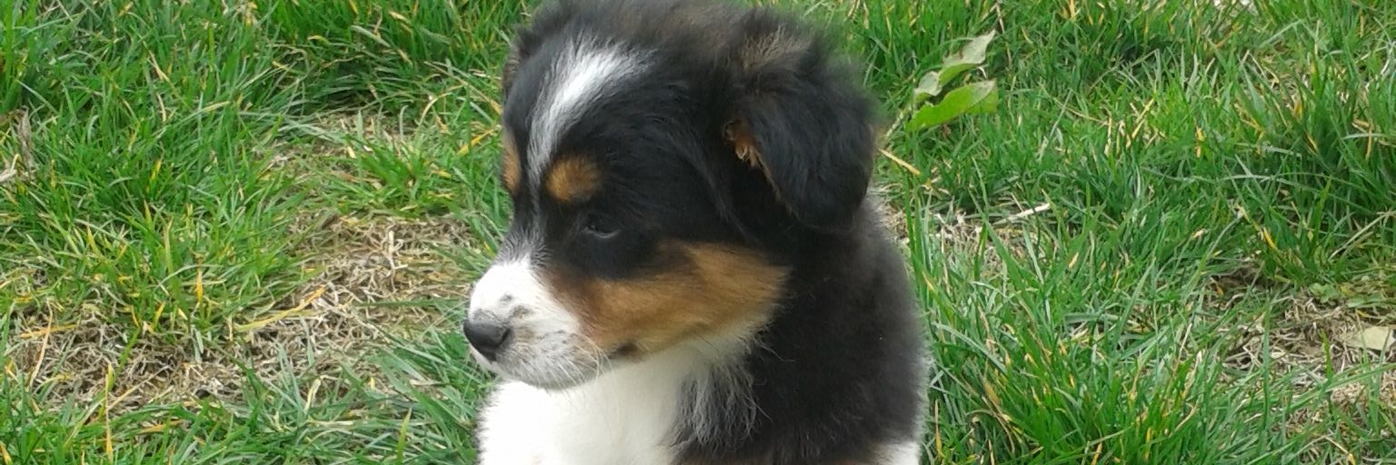 damlasu017's profile banner image