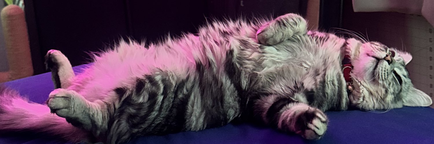 donni boi 🕷 banner