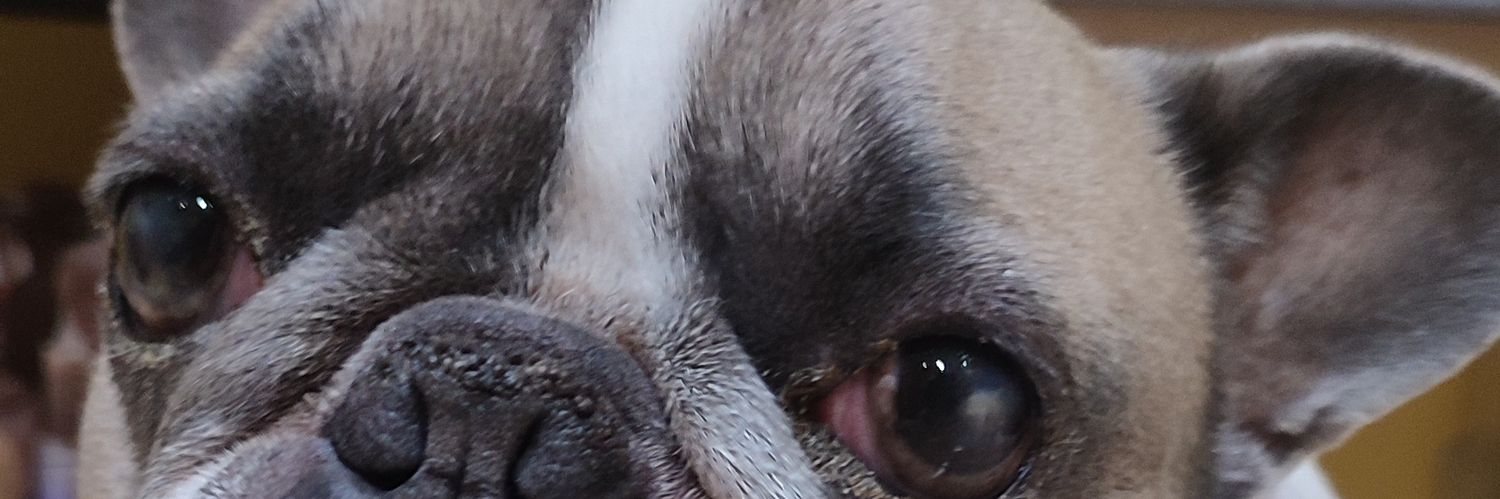 mi_ki00's profile banner image