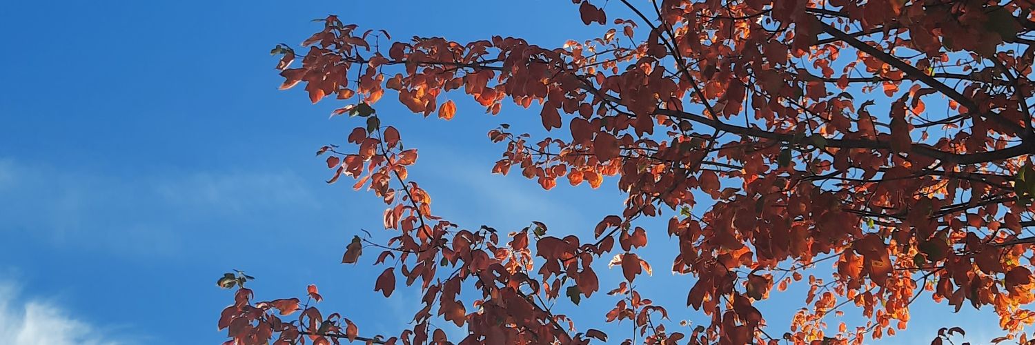 arrategd's profile banner image