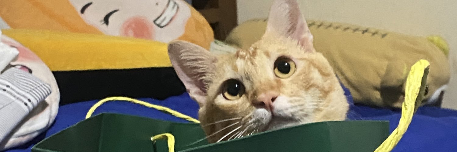 firmanalian's profile banner image