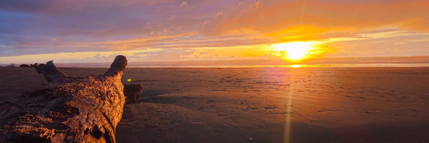 Lombardo Bilbao Pino banner