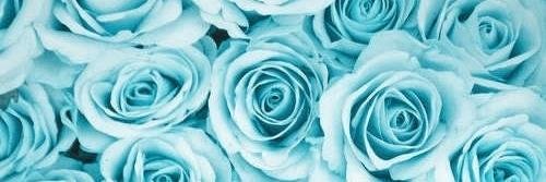 sellagiovanii's profile banner image