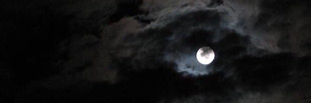 mume19731's profile banner image