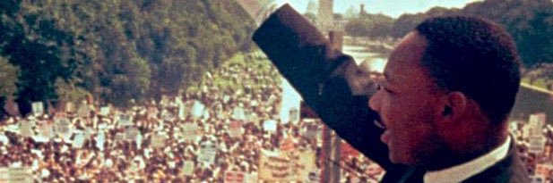 Deb Schiel🟧 🇺🇦🌊☮️🐶🐶🐘🐘 banner