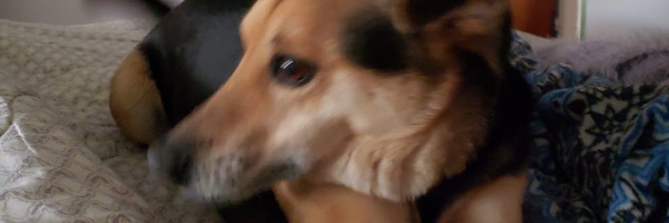 matimarin_'s profile banner image