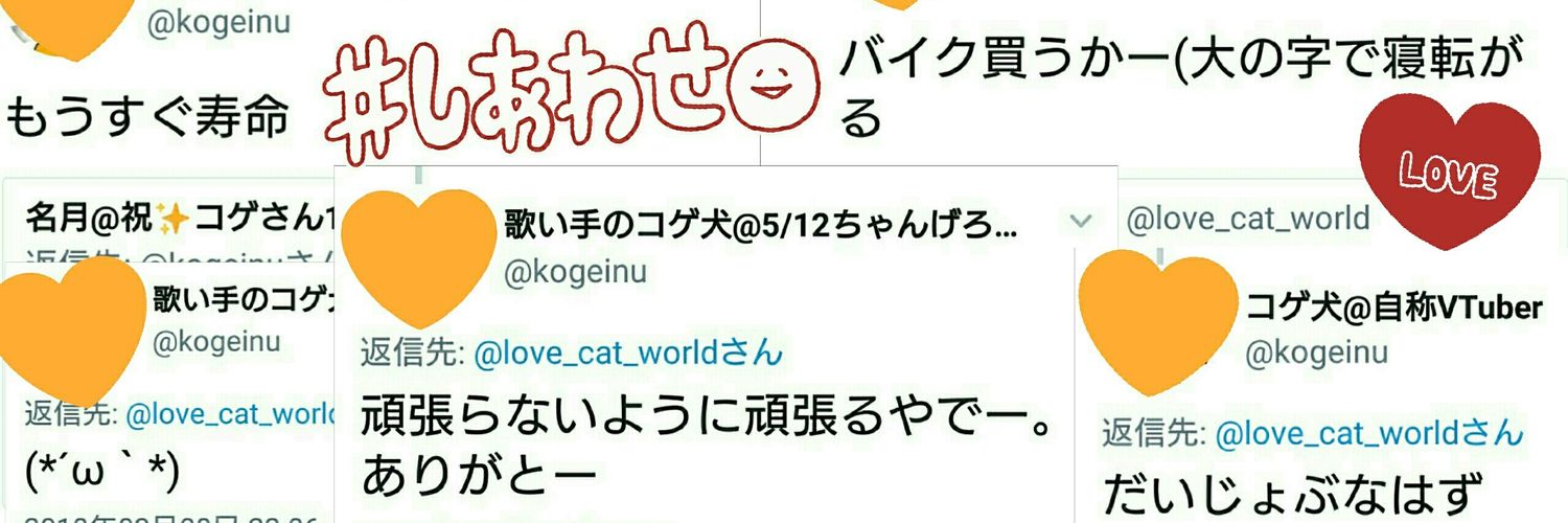 love_cat_world's profile banner image