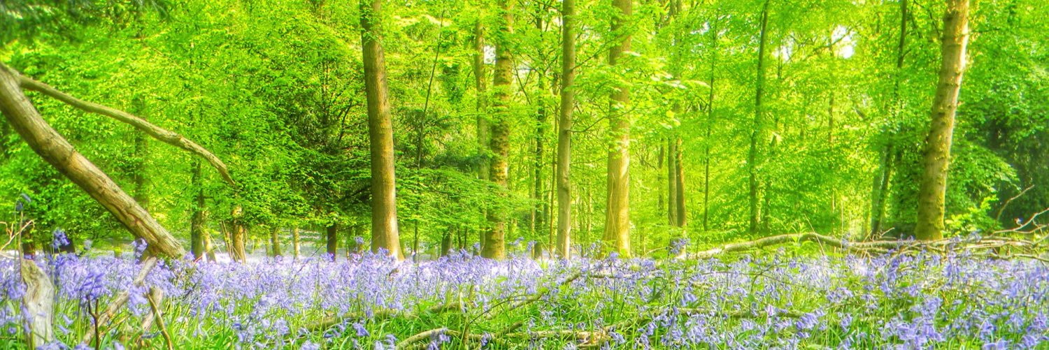 FoDAmateurPhoto's profile banner image