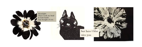 wosie Profile Banner