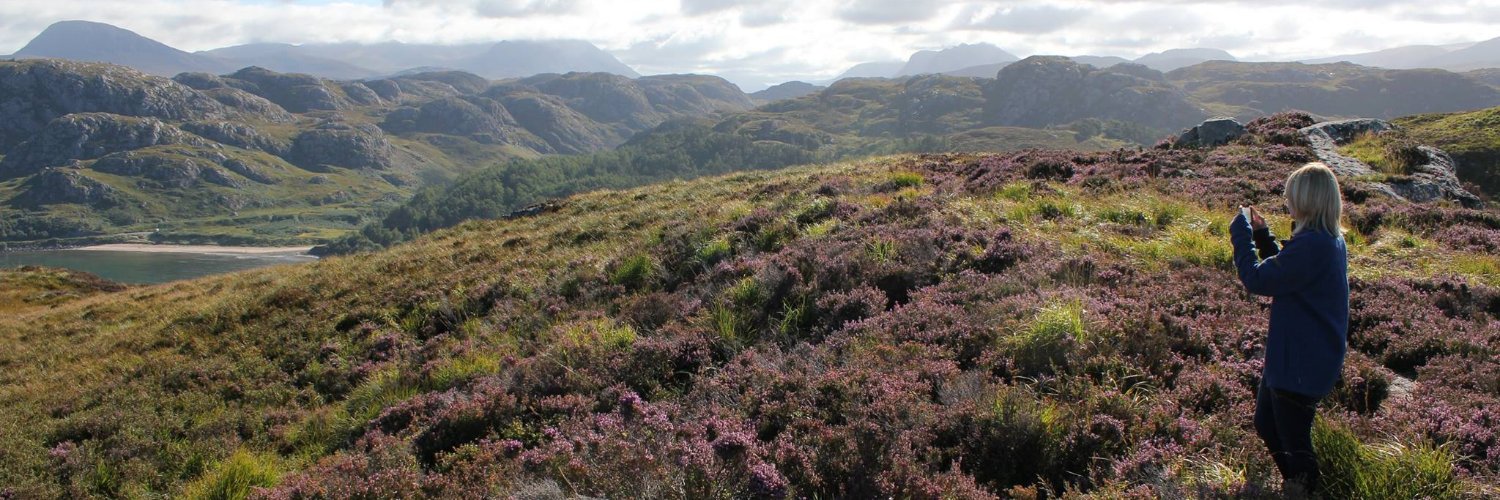 Rachel Thomson banner