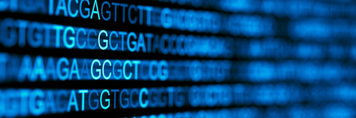 Jara Cárcel Márquez banner