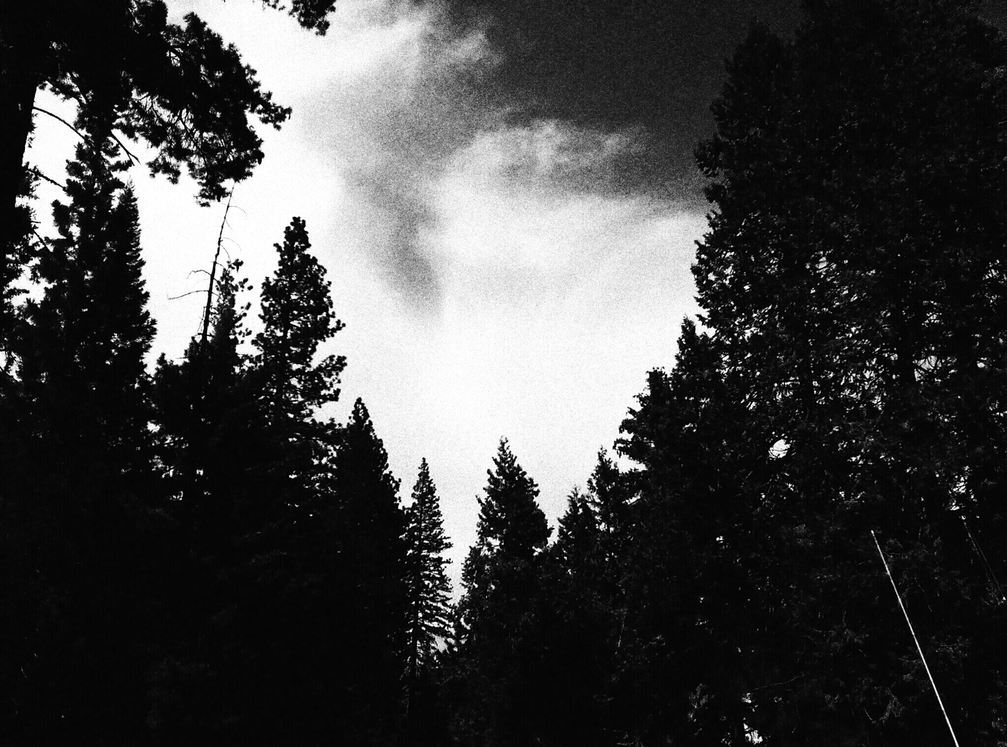 johnchong's profile banner image