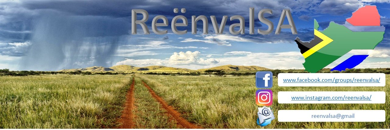 ReenvalSA banner