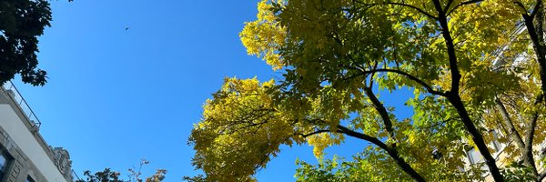 chonnye Profile Banner