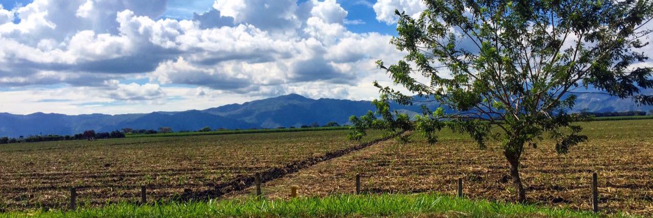 María Paula Vernaza banner