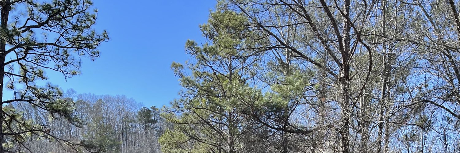 Fried Green Tomato 🍅 banner