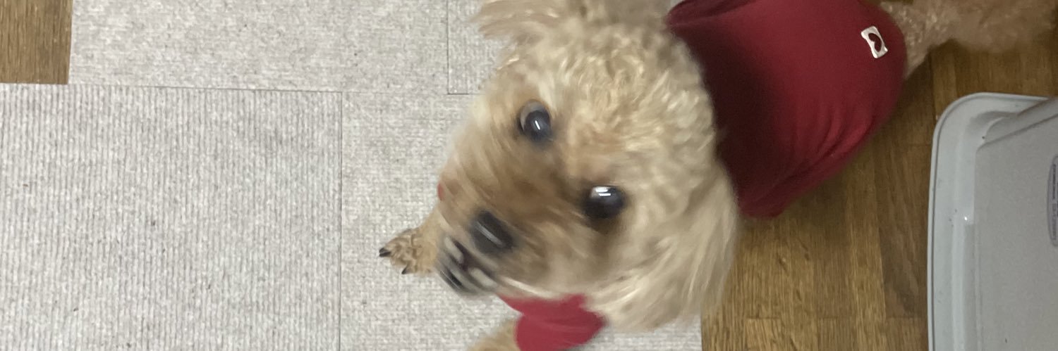 しまの / みのしま banner