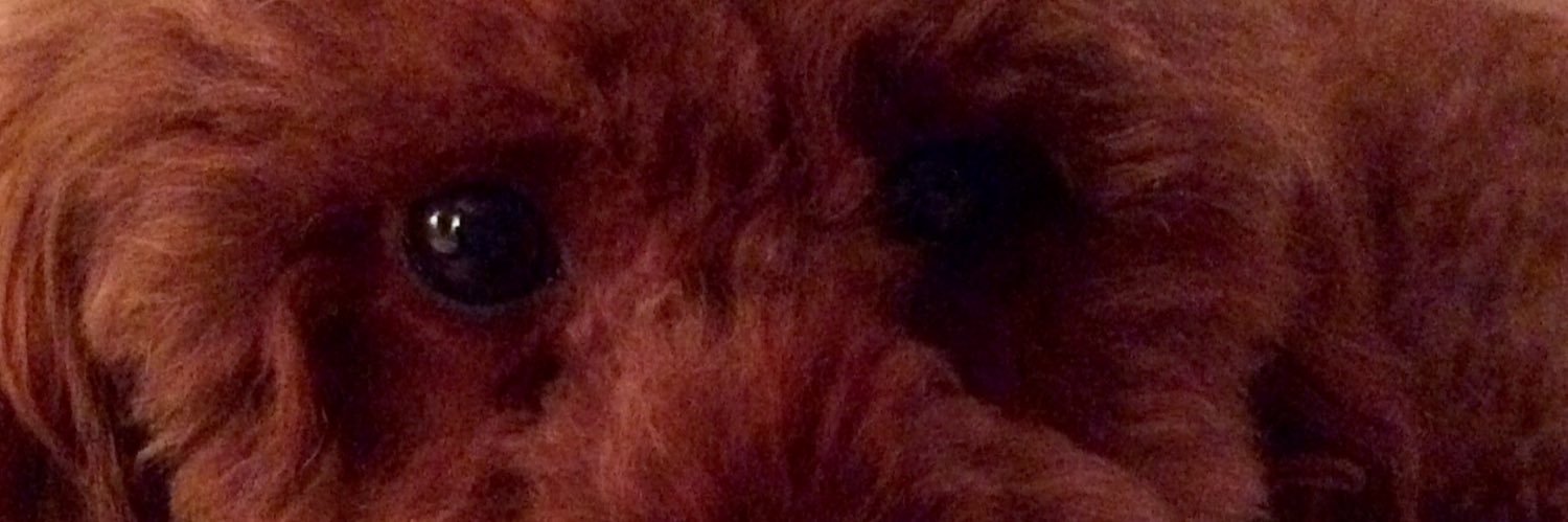 Brooke Alpert banner