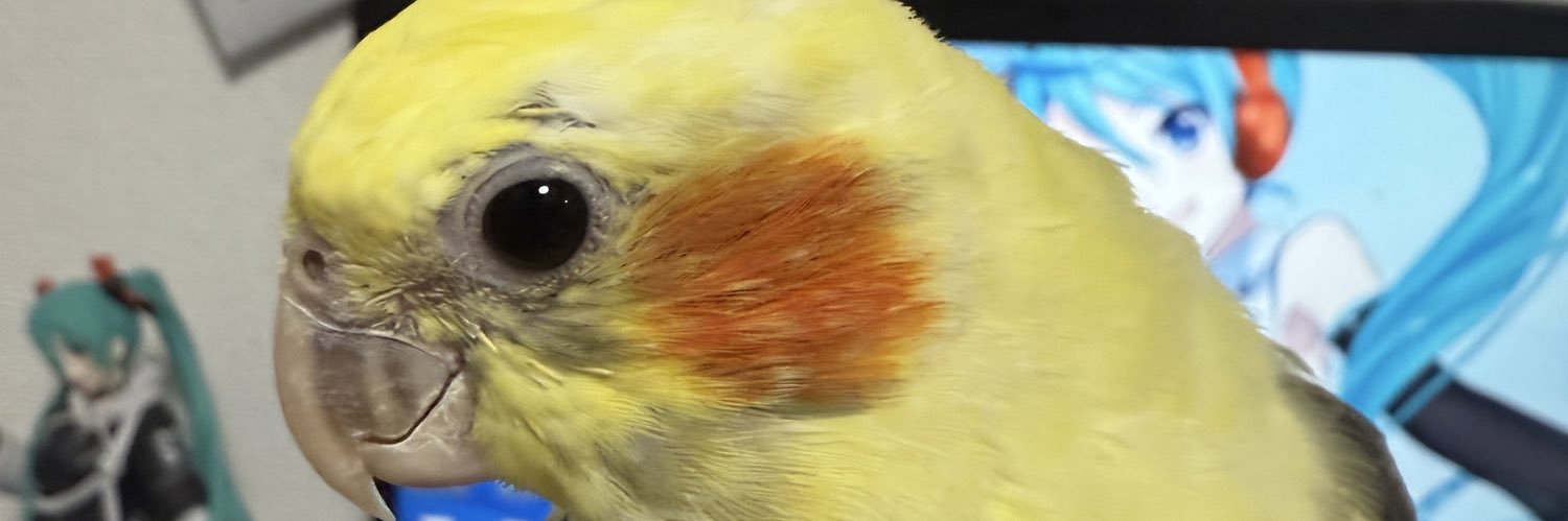 dake02☆労災骨折中🩼🍉🇮🇷 banner