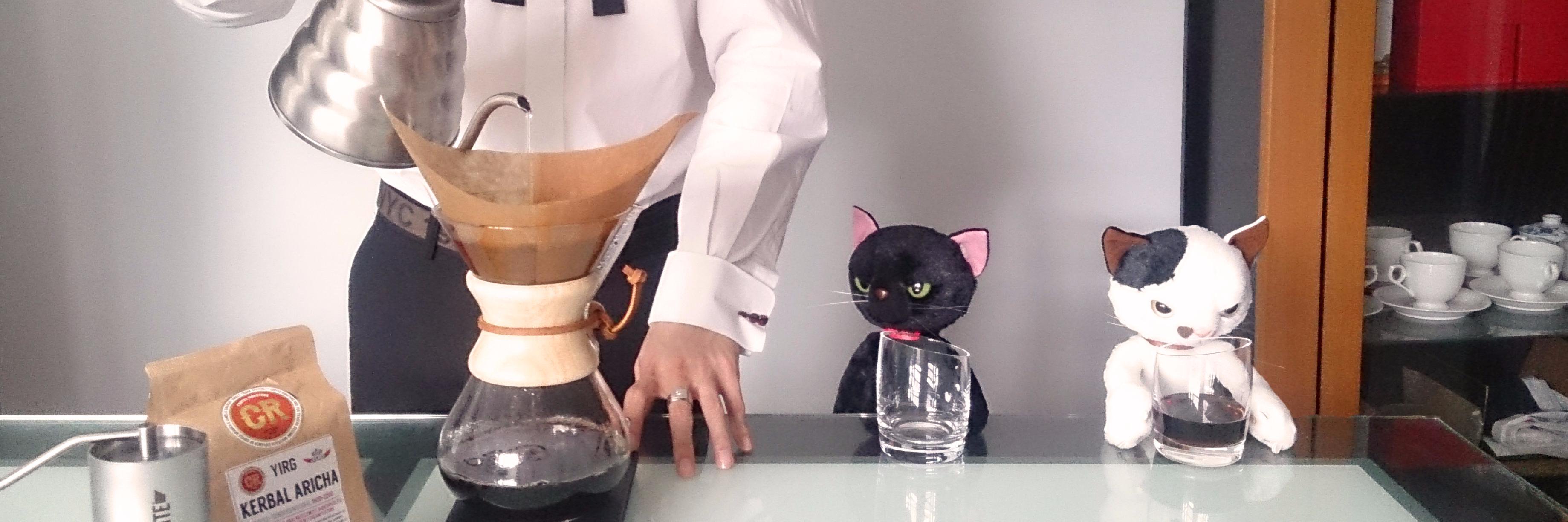 プラタナス banner