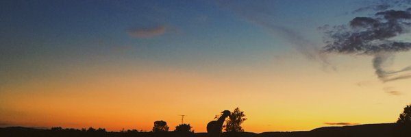 bhammertimeshow Profile Banner