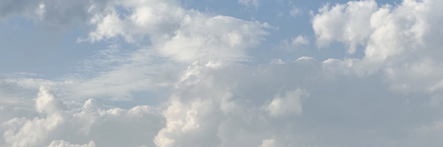 少年游 banner