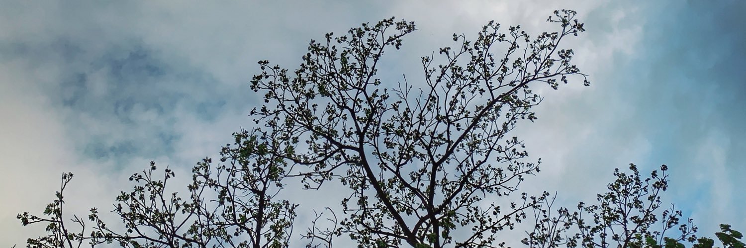 danushbhaskar's profile banner image