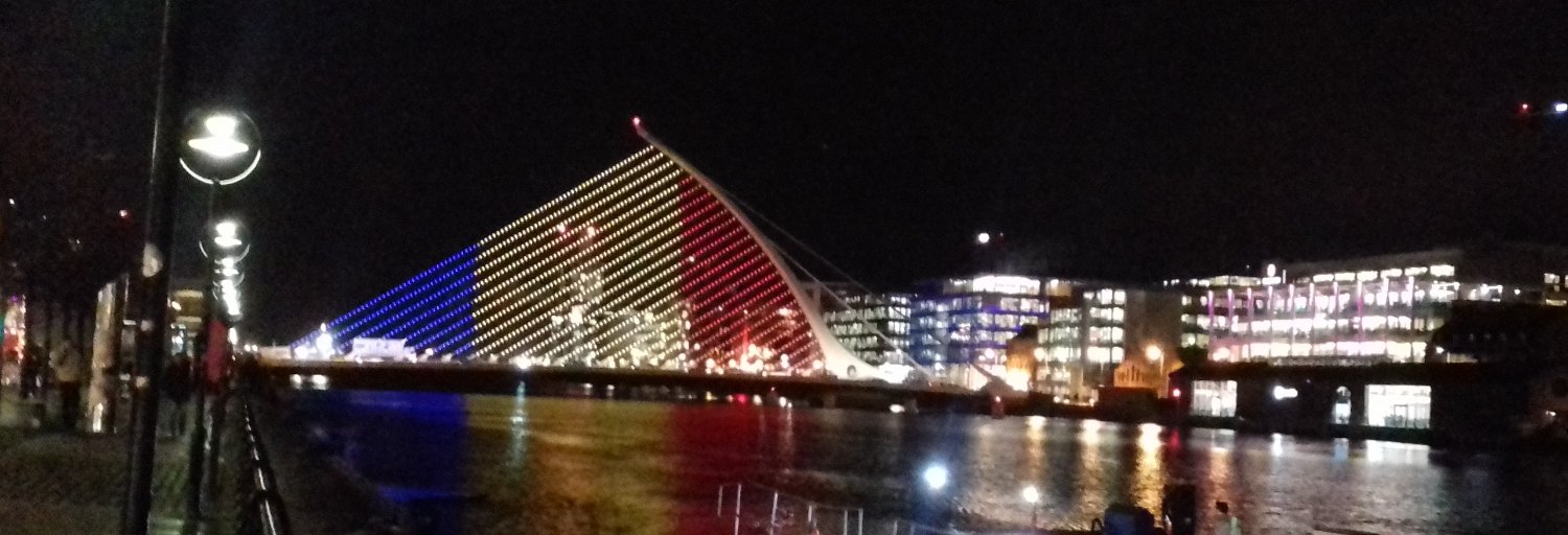 Gabriel Muntean banner