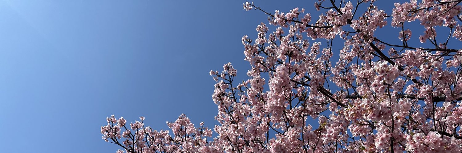 copydd100's profile banner image