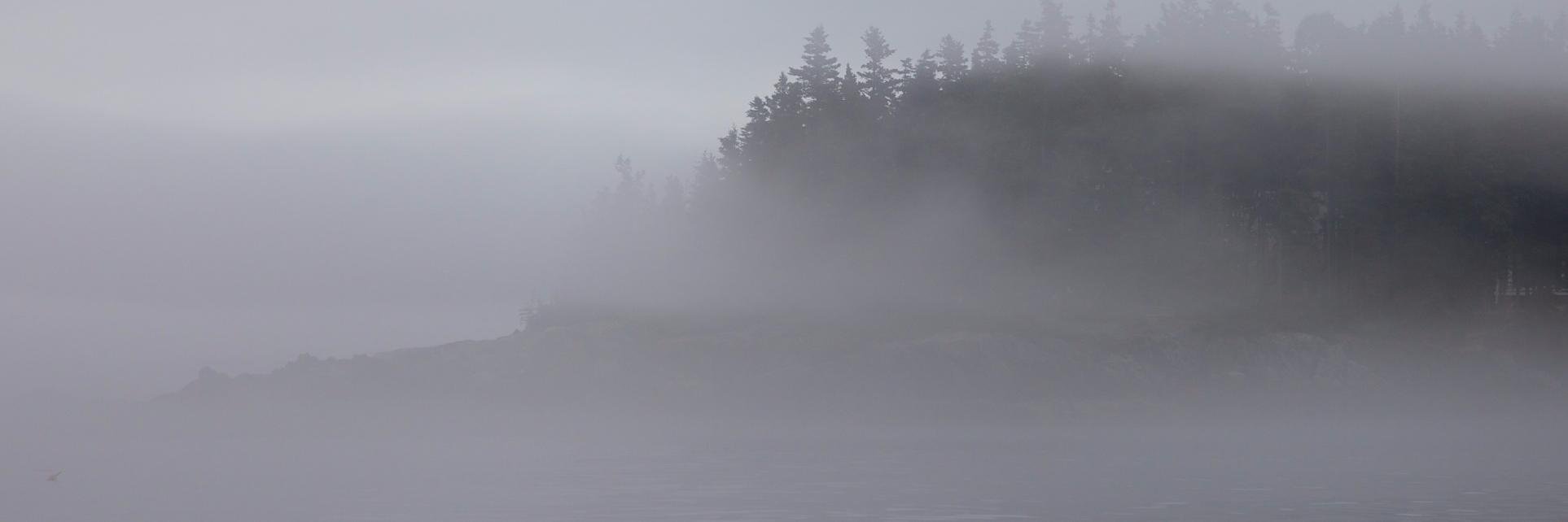 FogWithin's profile banner image