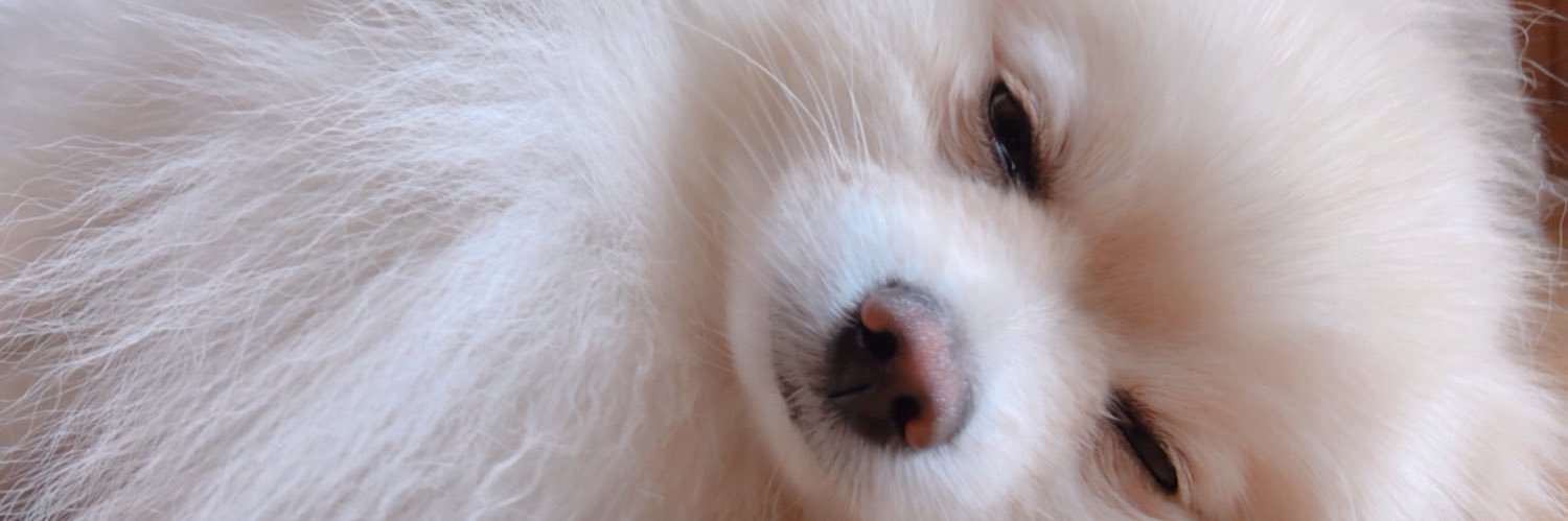 mopi_1115's profile banner image