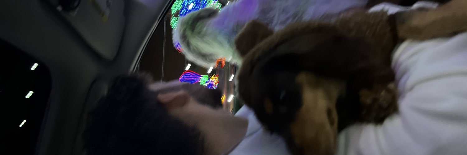 taylorrosillo's profile banner image